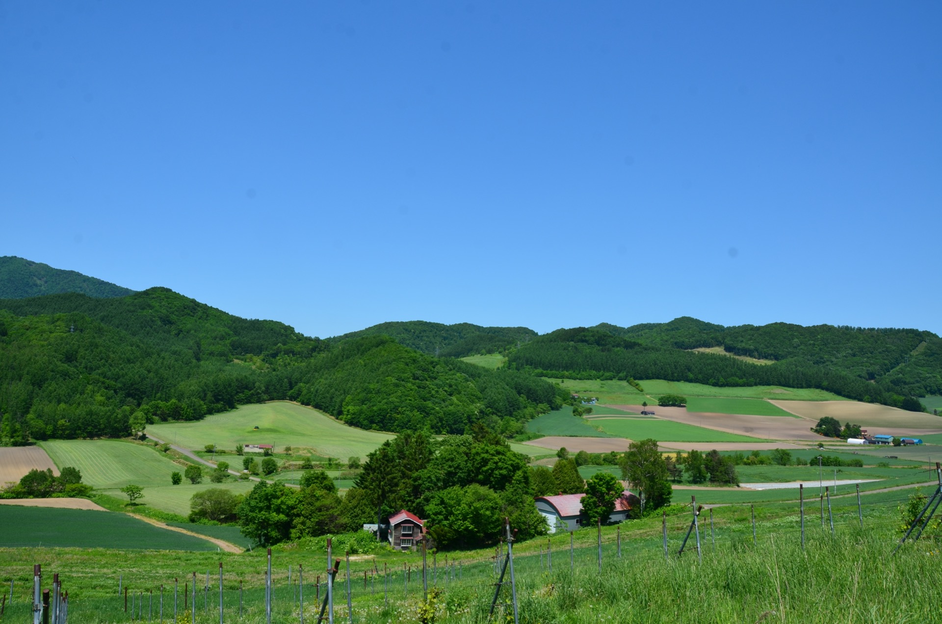 Furano Lavender hills & Grape vineyard cycling area by EBike local guide